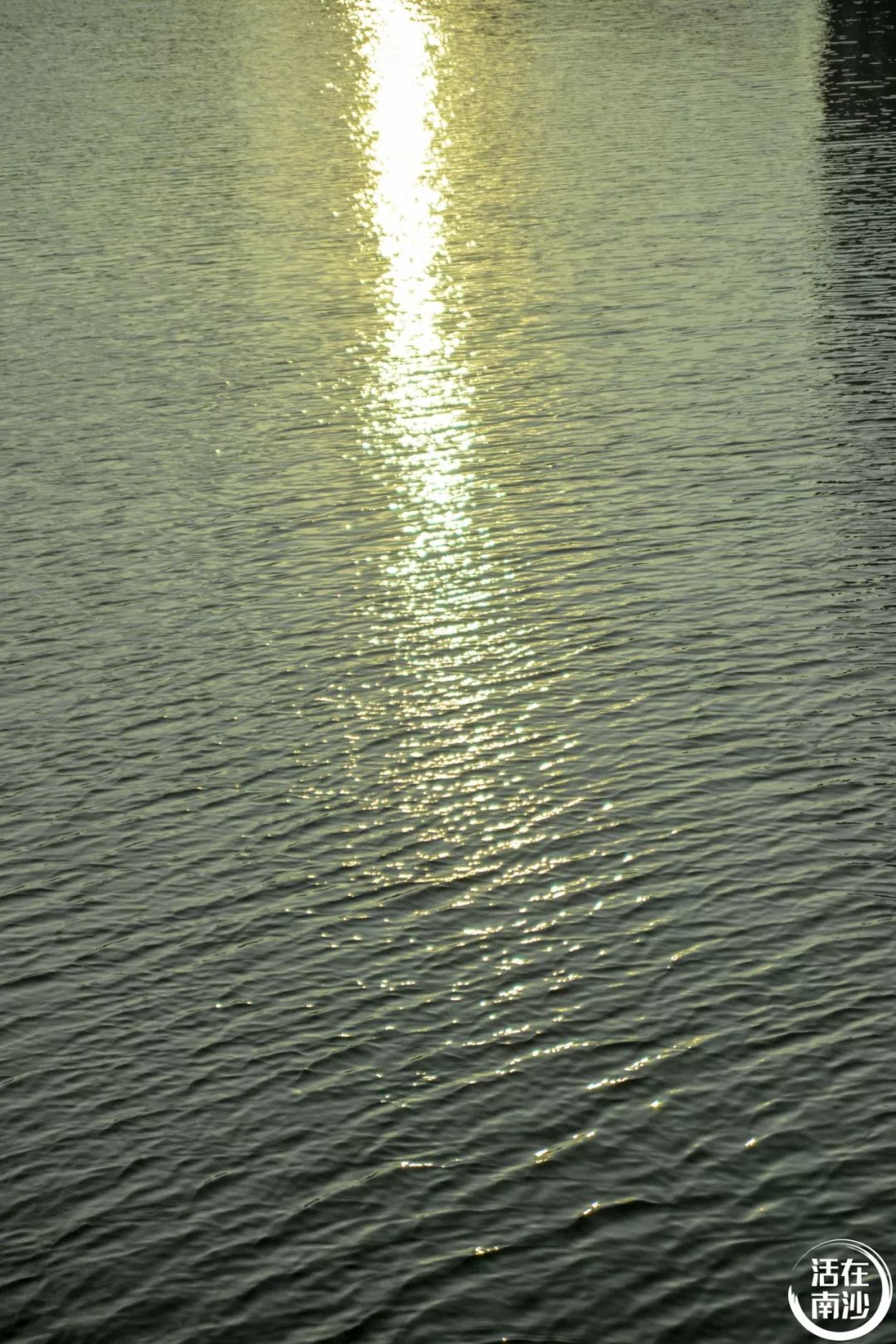 南沙凤凰湖以前叫什么名字,南沙凤凰湖历史