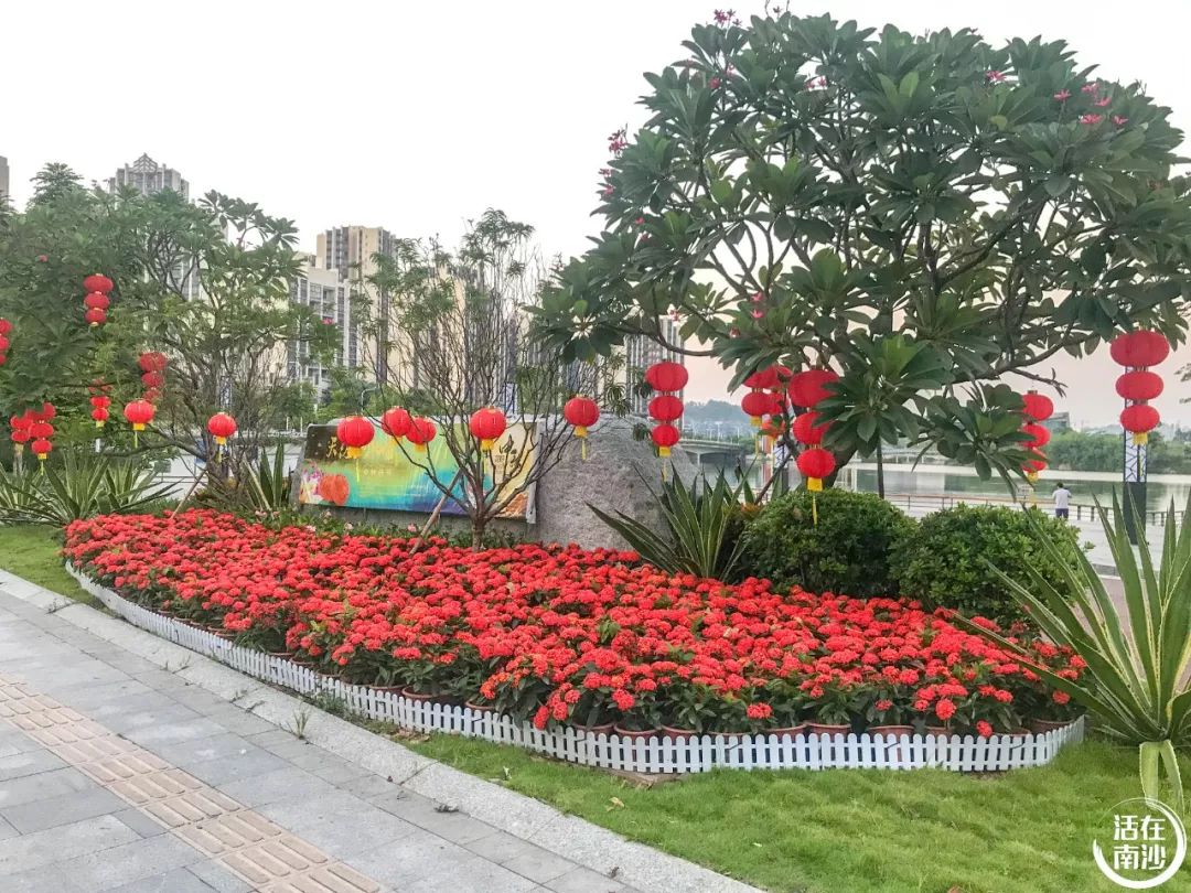 南沙凤凰湖以前叫什么名字,南沙凤凰湖历史