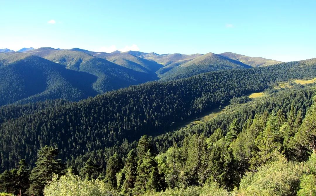 认识世界从哪里开始,认识世界从认识什么开始