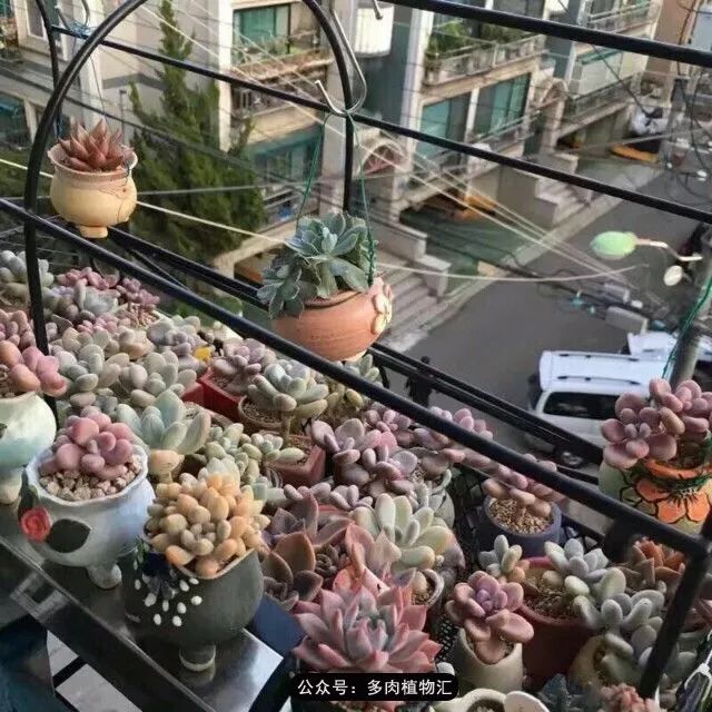 阳台如何让它变得很漂亮,怎么让阳台能种更多花