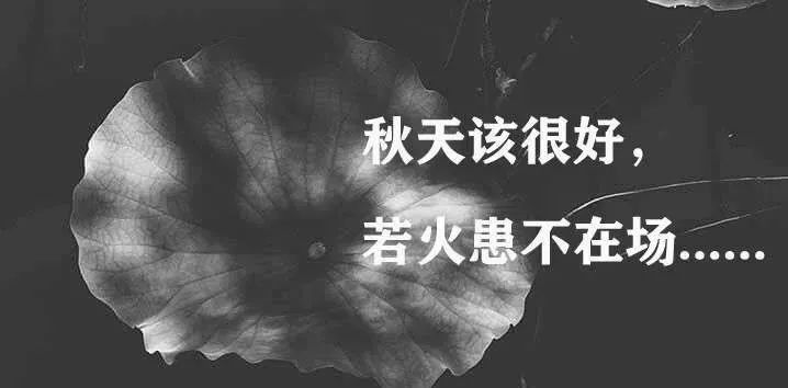 这周要上六天班吗,这周要上六天班怎么回复