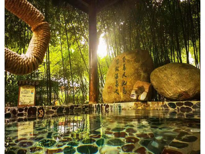 观唐文化与艺术,观唐文化展