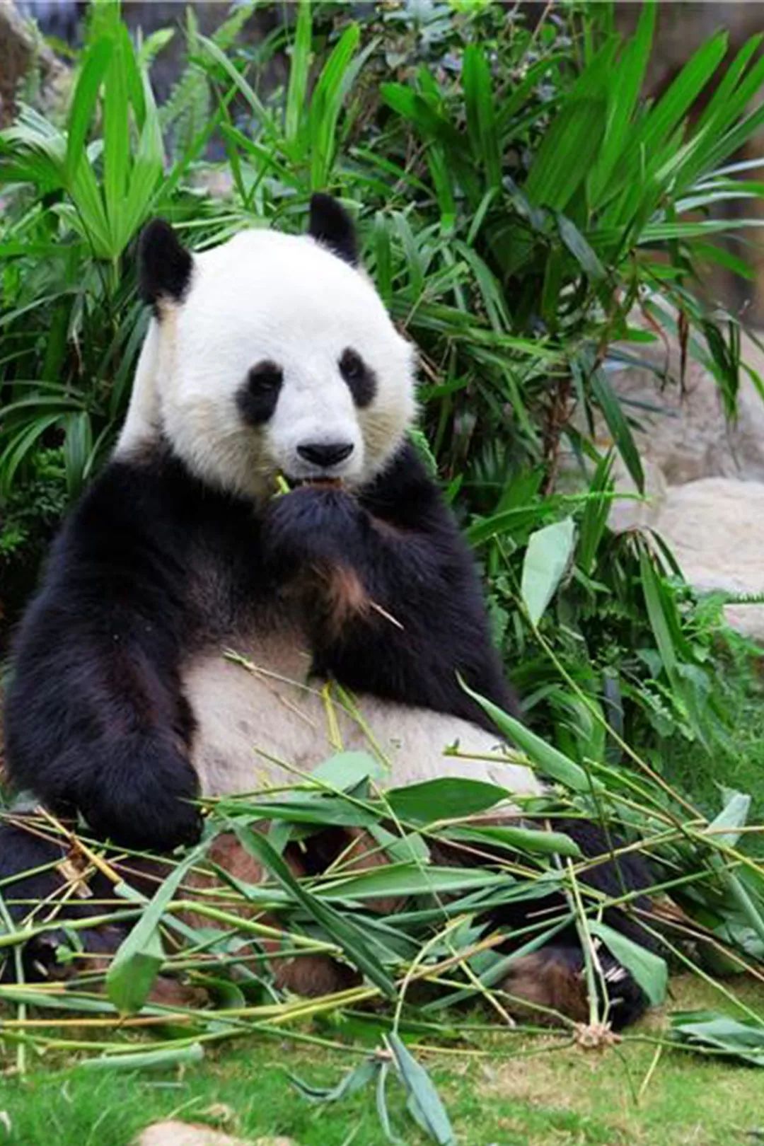 畅玩云南,畅玩永鸿动物园