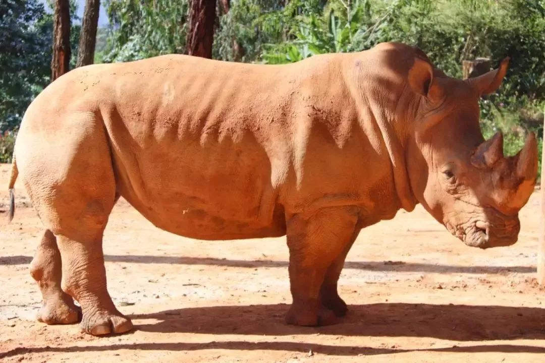畅玩云南,畅玩永鸿动物园