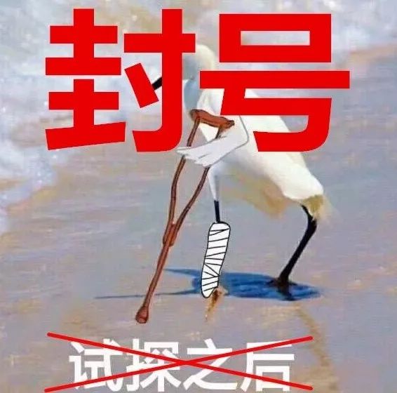 直播间卖假货被抓的主播是谁,直播间卖假货被抓的是哪个主播