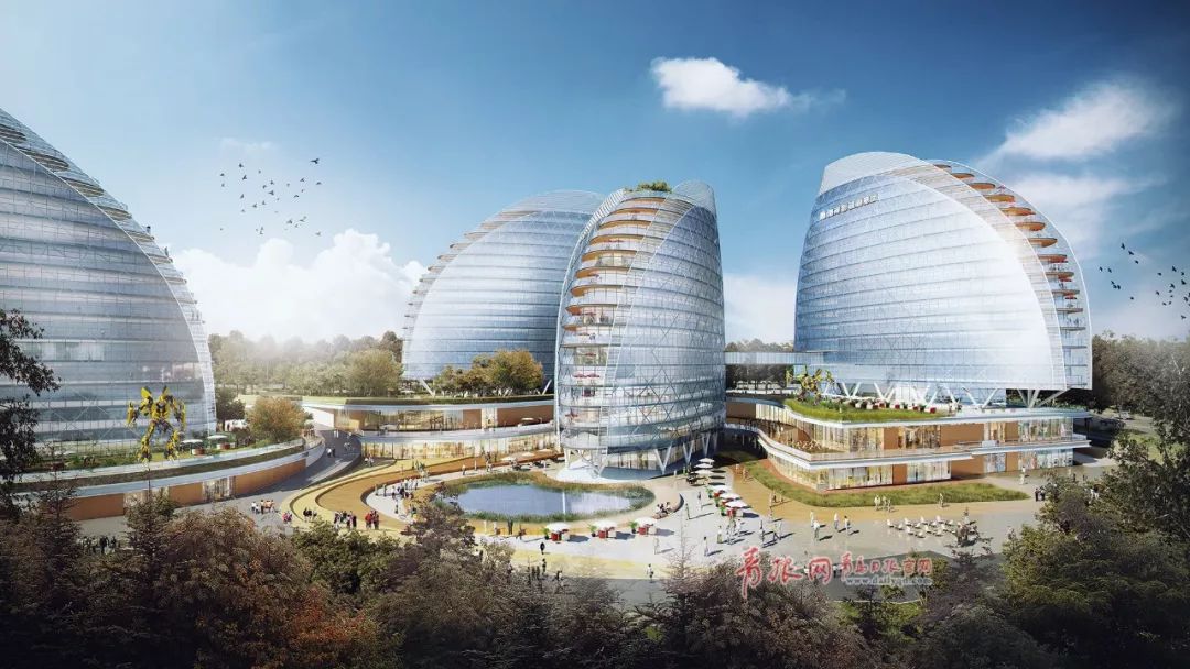 为什么要留在青岛,年轻人有必要留在青岛吗