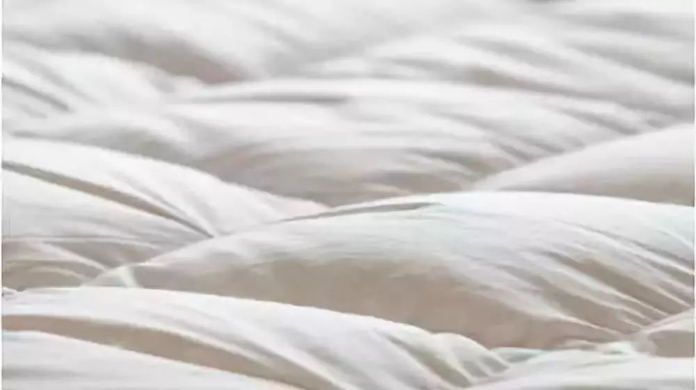 羽绒被羊毛被蚕丝被棉被哪一种好,羽绒被蚕丝被羊毛被棉被哪个更好