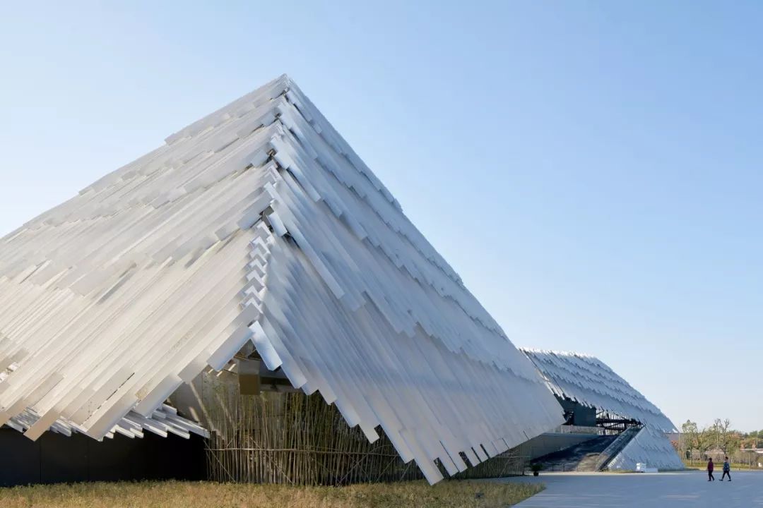 孙杨骚操作,孙杨身穿豹纹泳裤视频