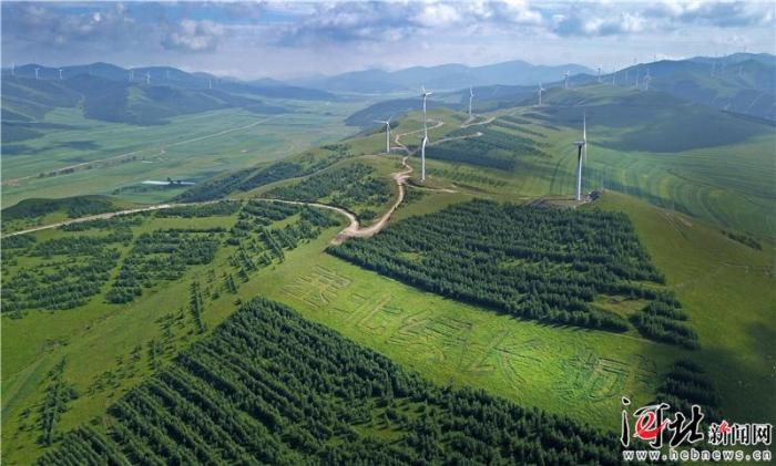 大河之北森林图片,大河之北原唱完整版