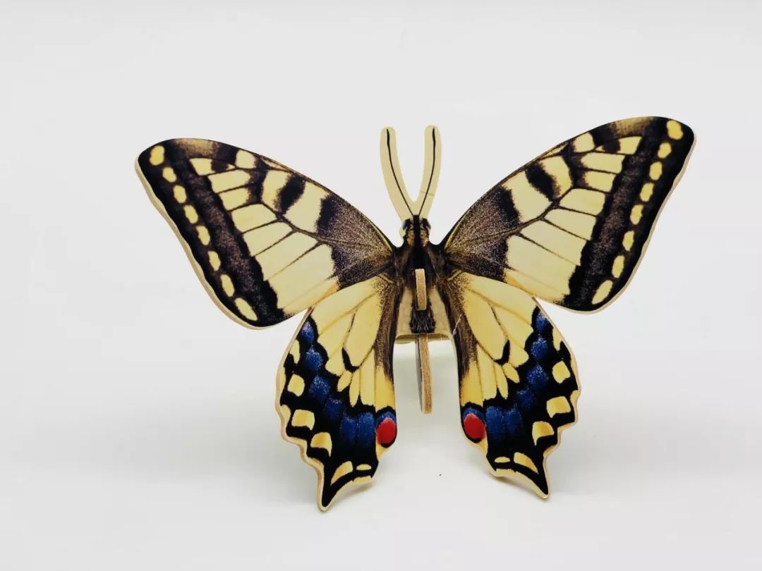 国产玩具品牌,玩具品牌国产