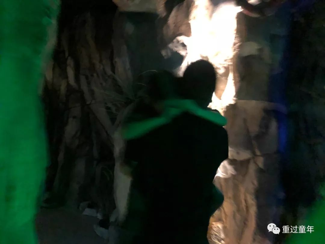 西影厂好不好玩,西影厂遛娃