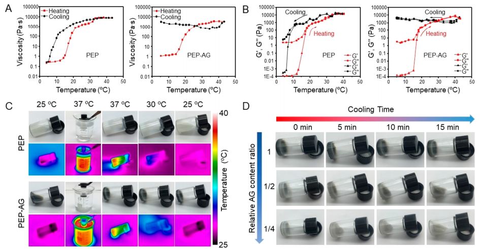 只需喷一喷？合肥工大学者研发出用于耐药性细菌感染伤口处理的可喷涂原位成型水凝胶