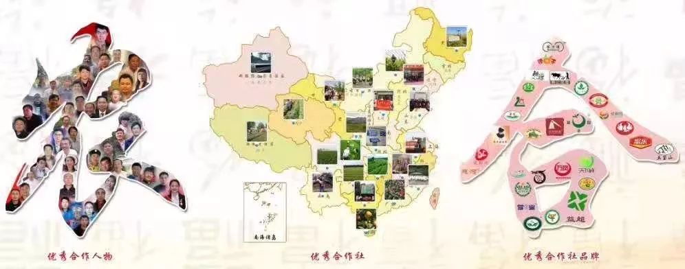 全国农业社会化服务典型案例,农业服务企业典型案例