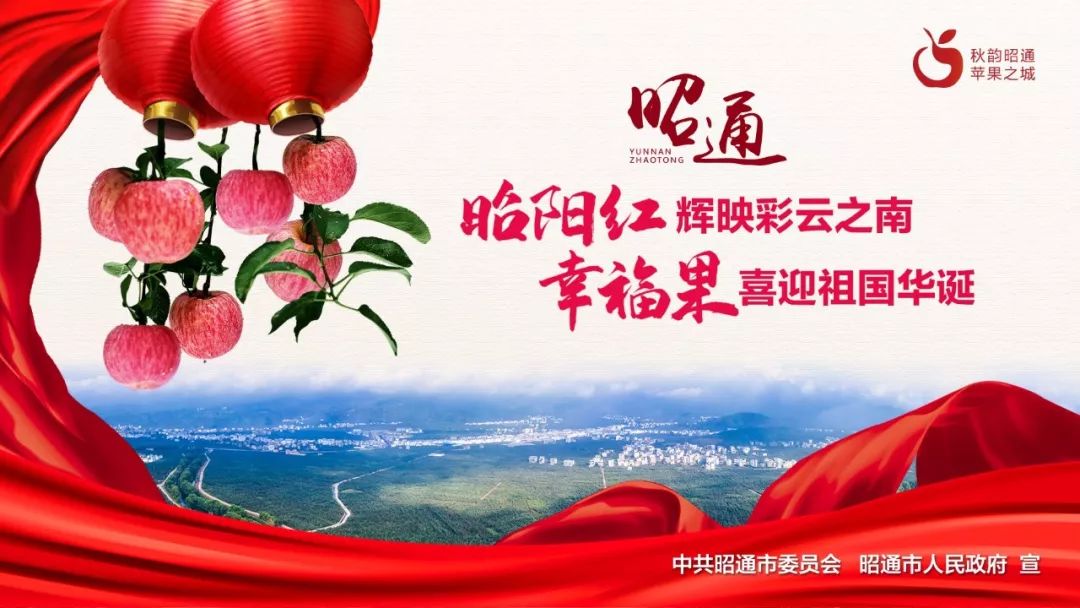 今天，让我们重温习*平近**谈“爱国”十段经典话语！