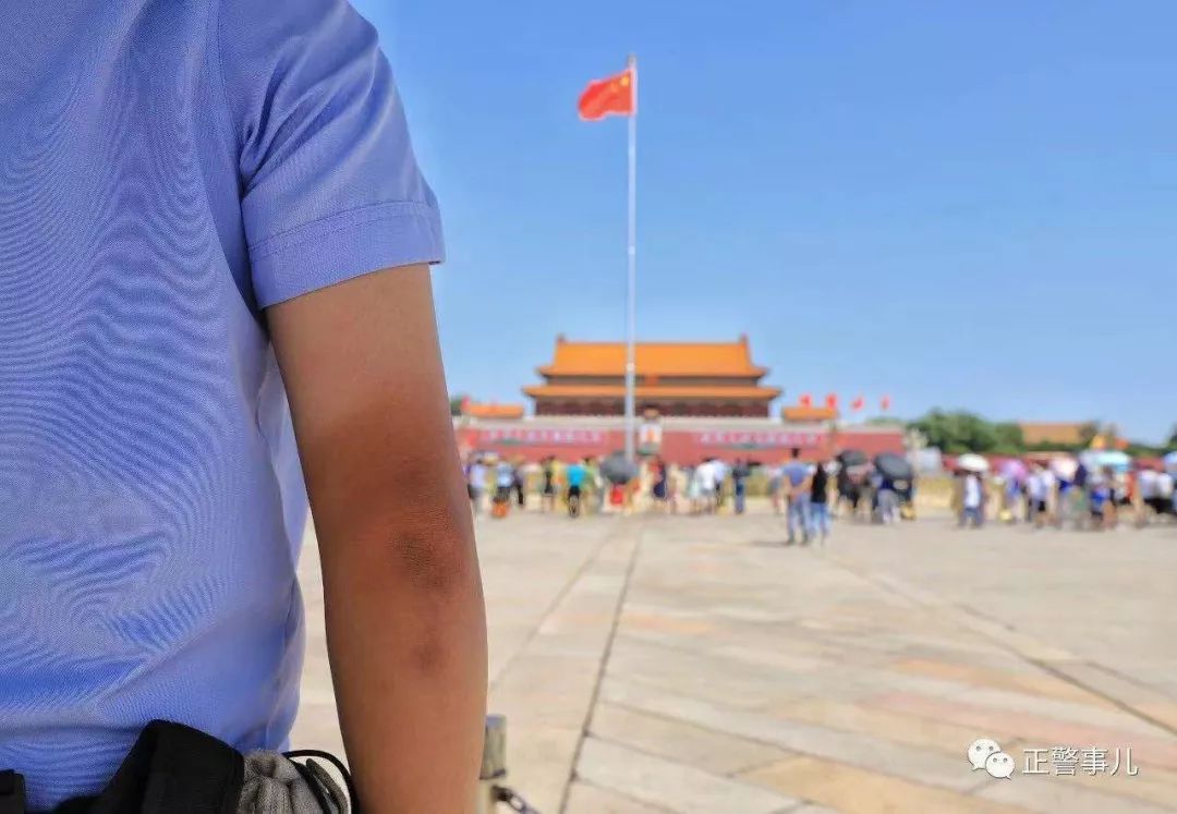 守护者2017,守护者七合集