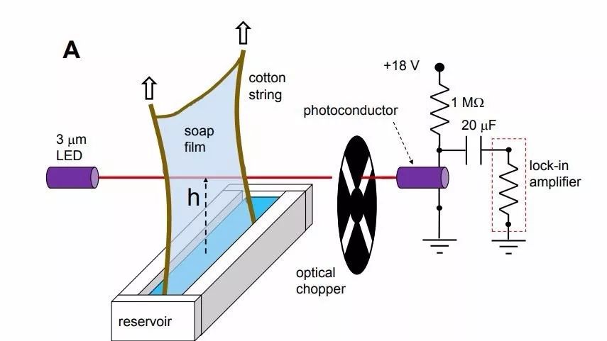 用肥皂水做泡泡加什么不容易破,能吹很多大泡泡的肥皂水怎么做