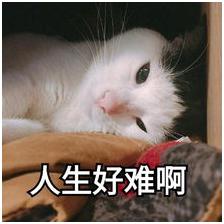 发家致富的骗局揭秘,致富骗局大揭秘