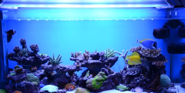 sps哪家更实用,sps怎么操作