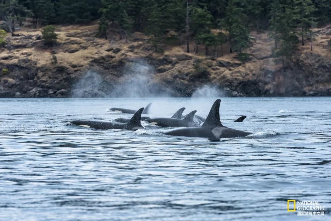 去加拿大必去景点有哪些地方,在加拿大10月中旬旅游地点推荐