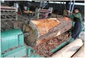 板材十大品牌教你装修板材怎么选,如何从环保角度选择家装板材