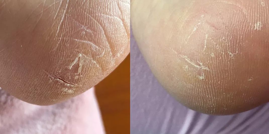 英格莱恩原味香樟乳霜包装,南非ingrams护理乳霜