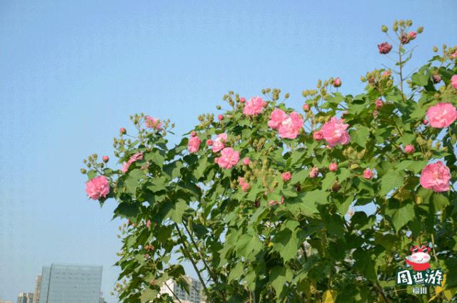 福州永泰国庆周边自驾游景点推荐,福州周边15处神仙景点