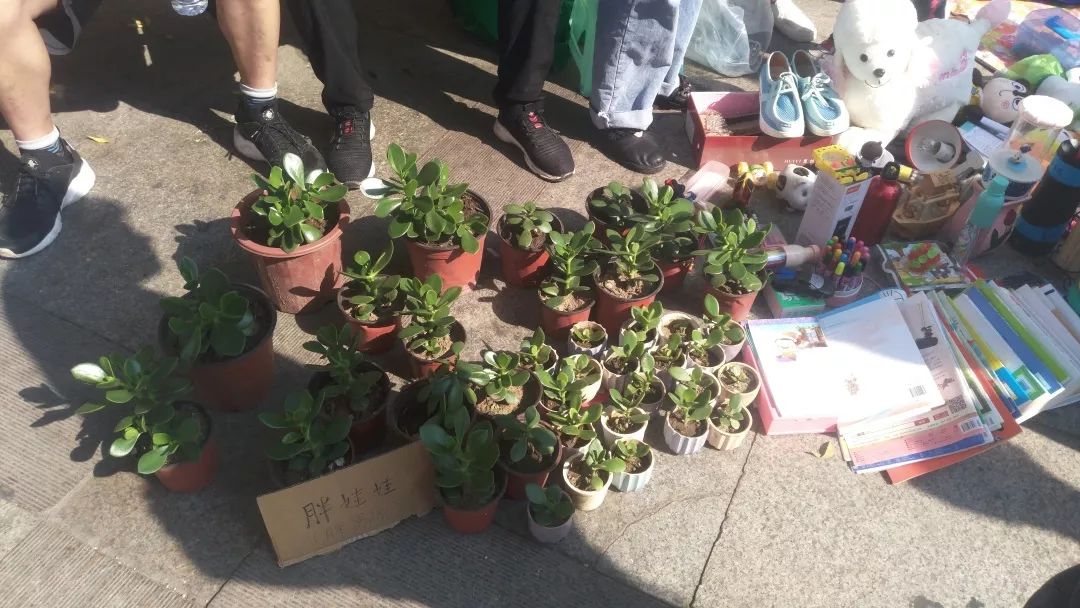 威海世界步行街,威海大世界步行街怎么样