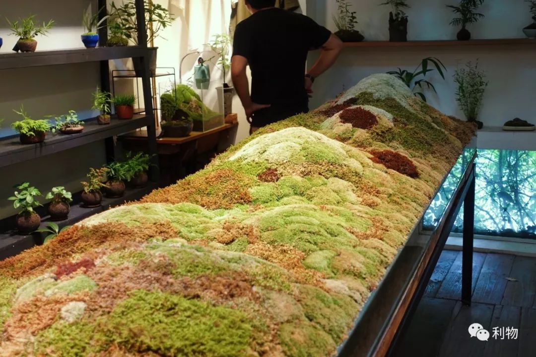 好物分享秋季爆款,秋秋好物分享推荐