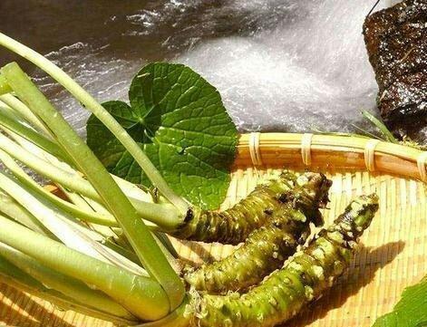 耐储存的菜有哪些,农村最贵蔬菜排名