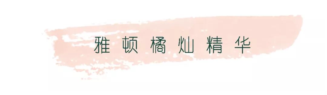 推广｜|回购了10多次，一定要把它推荐给你们