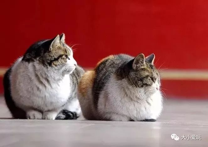 十一北京好玩的地方推荐带孩子去,北京十一旅游好玩的地方推荐一下