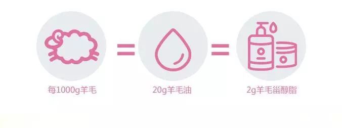 神奇绵羊油,润肤用的绵羊油