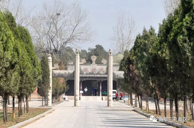 曲阜三孔景区门票免费政策,曲阜三孔门票免费规定旅游攻略