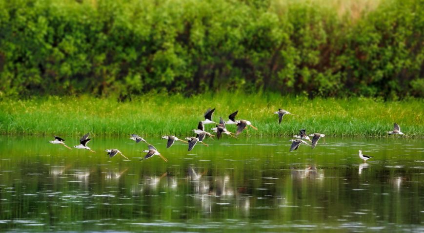 中国梦70周年绘画图片,70周年中国梦绘画作品图片