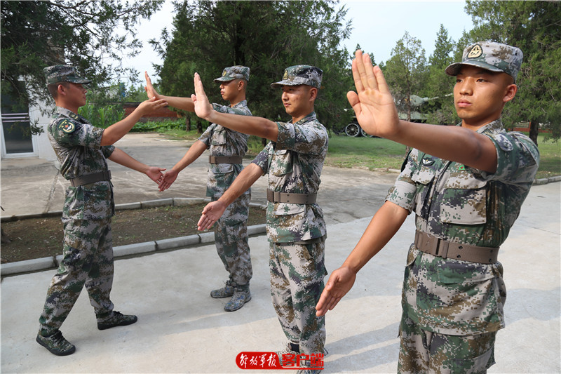 阅兵敬礼特写,智利阅兵中敬礼的女军官