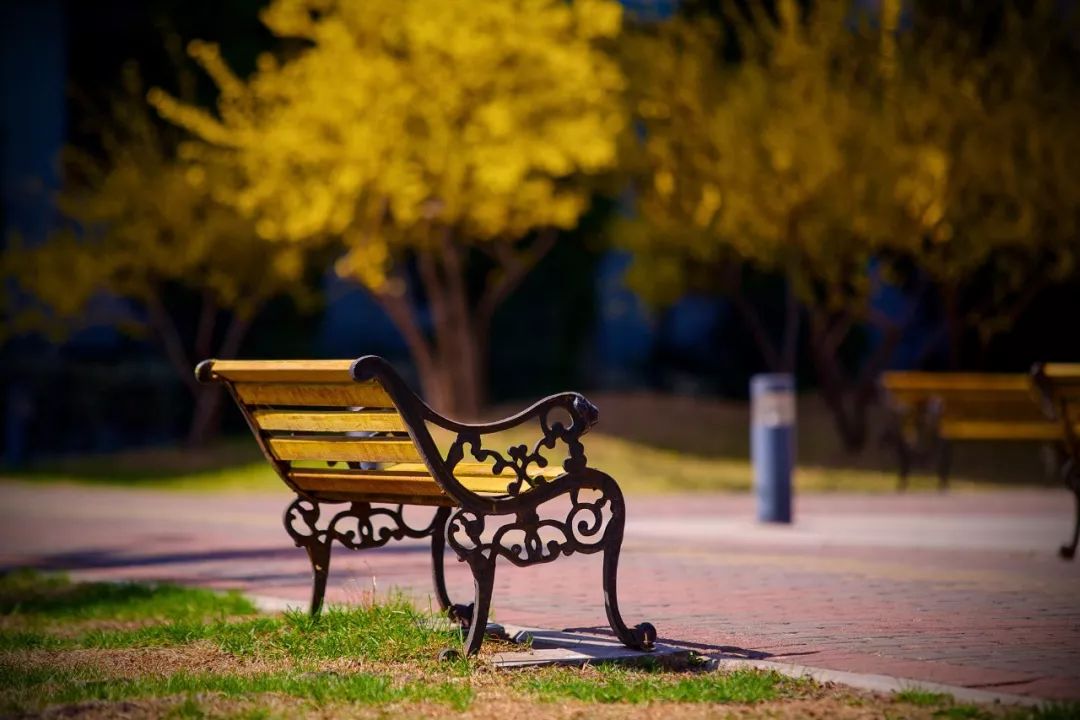 中国人民大学新消息,中国人民大学消息