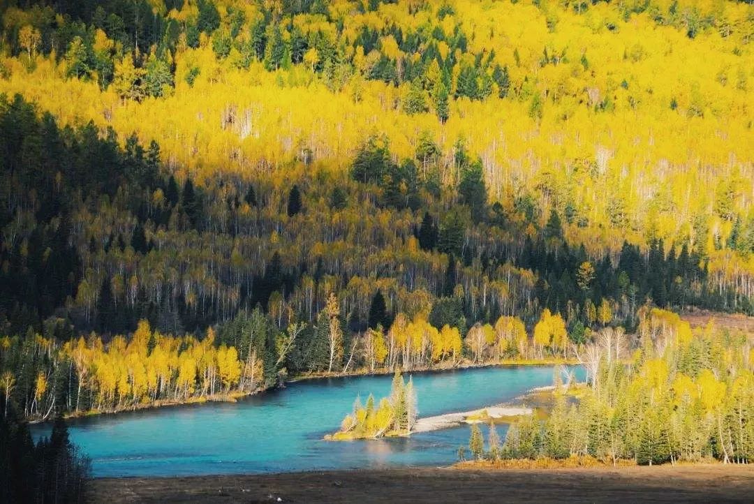 冬天的新疆喀纳斯,冬天是去伊犁还是喀纳斯