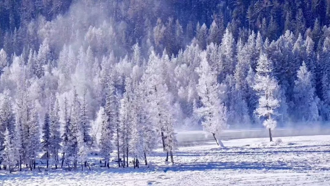 冬天的新疆喀纳斯,冬天是去伊犁还是喀纳斯