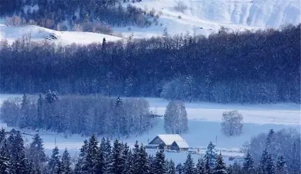 冬天的新疆喀纳斯,冬天是去伊犁还是喀纳斯