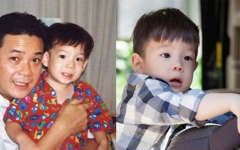 鱼撞脸的搞笑瞬间,鱼撞脸视频大全