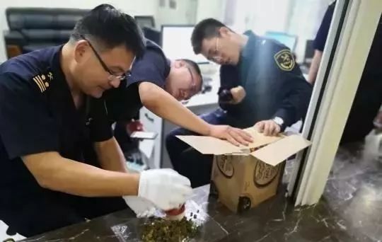 当心！这种“*麻大**鱼油胶囊”，可能让你染“毒瘾”！