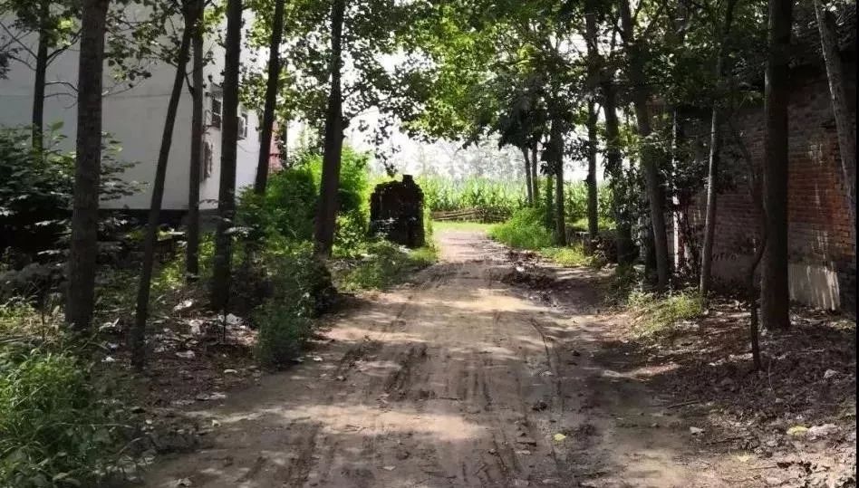 赵县有没有小山村,赵县最南边的村