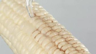 9成中国人没见过，洗牙就用1分钟，美国人用了很久的洁牙神器