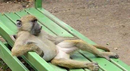 武汉种植牙齿多少钱一个,湖北种植牙补贴政策是真的吗