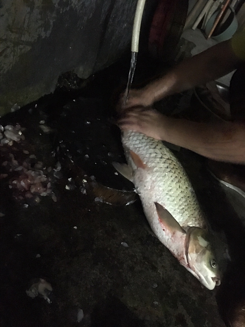 假期回家阖家欢乐,假期来郊外玩心情美美哒