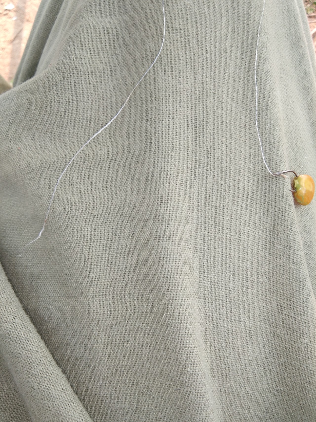 淡水白鲳秋天怎么钓,串钩钓淡水白鲳