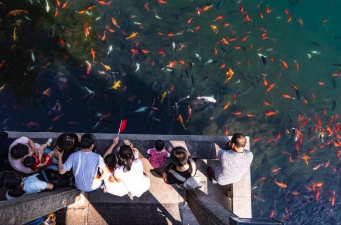 济南五龙潭值得去吗,五龙潭是来济南必逛的一个公园