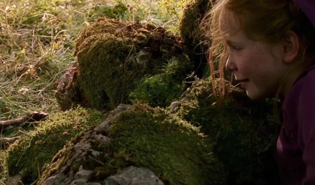 拥有100多瓶香水是什么体验,拥有一百瓶香水