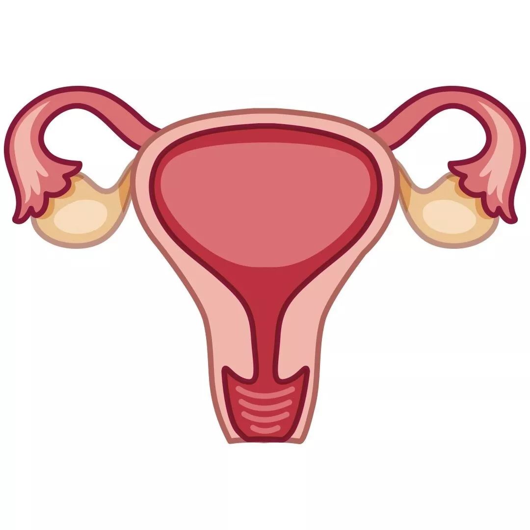 孕妈便秘咋解决,孕妈便秘都怎么解决