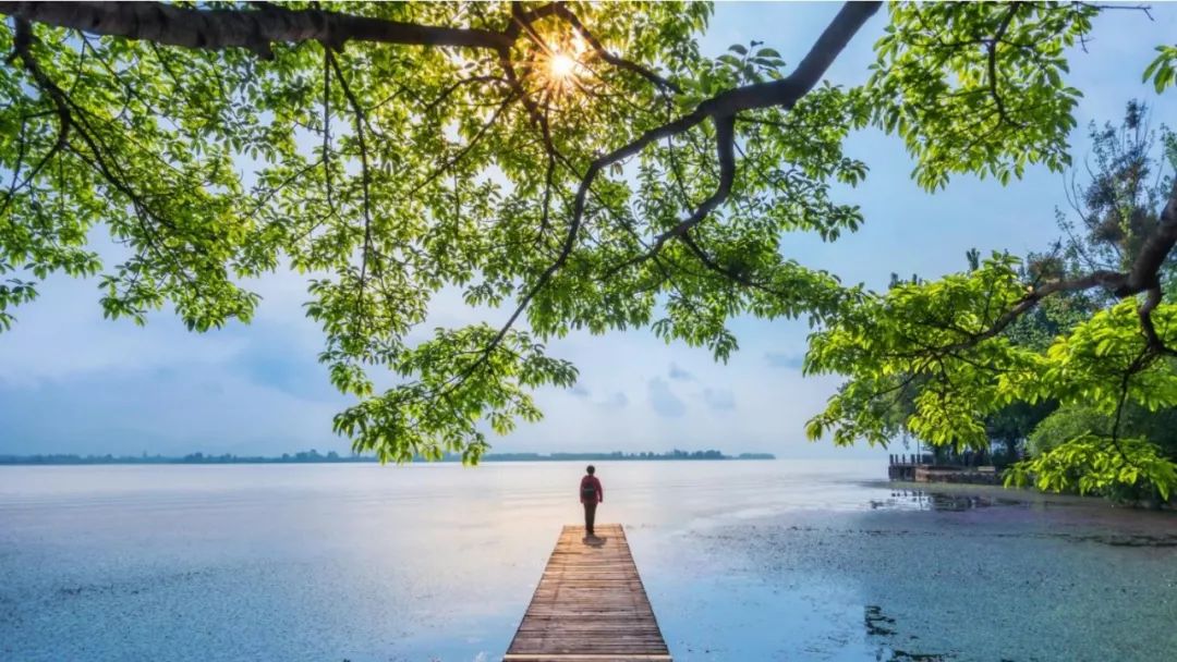 美得不用滤镜!带你邂逅“一个春天的城市”,一辈子一定要去一次